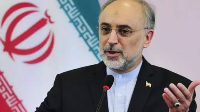 دکتر علی‌اکبر صالحی: کوروش بزرگ، نامی ماندگار در تاریخ ایران و یادآور فرزانگی در فرمانروایی