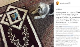 پرستو صالحی تصویری از سجاده نماز در کنار سگ خود را منتشر کرد 